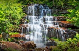 Onlajn peticija za uključivanje lokalne zajednice u razvoj Stare planine