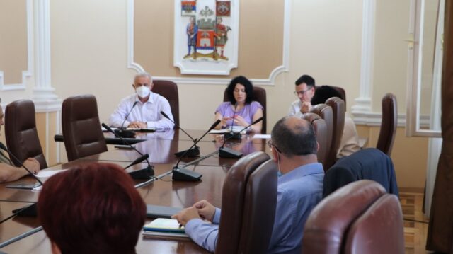 Gradonačelnik Načelnik i Većnik