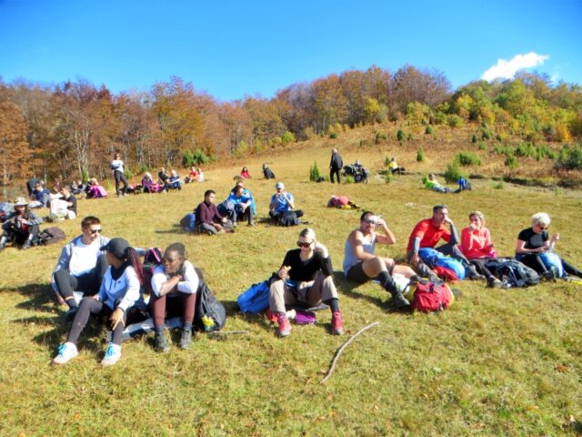 1604332831533_IMG_2310