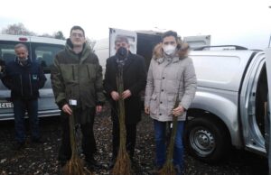 Za zelenu i zdravu Palilulu