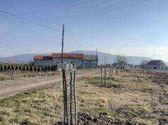 Grad Niš poziva privrednike da doniraju sadnice za ozelenjavanje grada Gornji komern sadnice