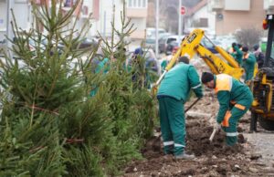 GO Pantelej : Zajedničkim zalaganjem do parka u stambenom bloku