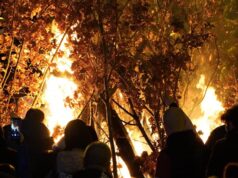 Gradska opština Pantelej, u saradnji sa Crkvom Svetog Pantelejmona, poziva sve građane na tradicionalnu proslavu Badnjeg dana Badnji dan u Crkv Svetog Pantelejmona