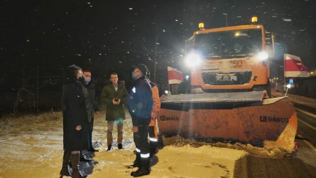 Gradonačelnica Nemanja i Miki