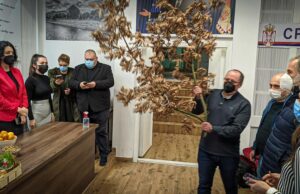 Badnjak unet u prostorije Gradskog odbora SNS