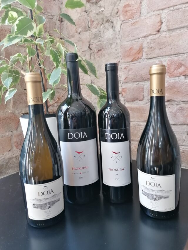 Vina Doja - licitacija LFN