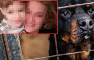 ŠTO DA NE KAŽEM – SUDBINA