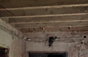 U porti Saborne crkve biće organizovano prokupljanje pomoći za porodicu Mladenović!