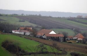 Država Srbija na Vidovdan raspisuje konkurs i poklanja kuće mladim bračnim parovima