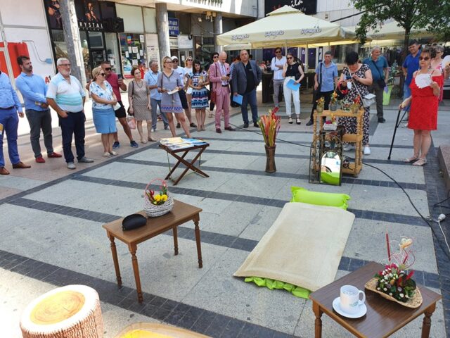 Soba Multi plaskreloza foto GP018