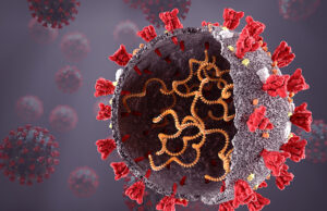 ŠTO DA NE KAŽEM – DELTA SOJ – NEK IZVOL