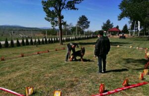 Nacionalna izložba pasa svih rasa (CAC) u Merošini