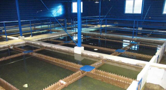 JKP „Naissus“: PLANIRANI RADOVI ZA NEDELjU JKP Naissus