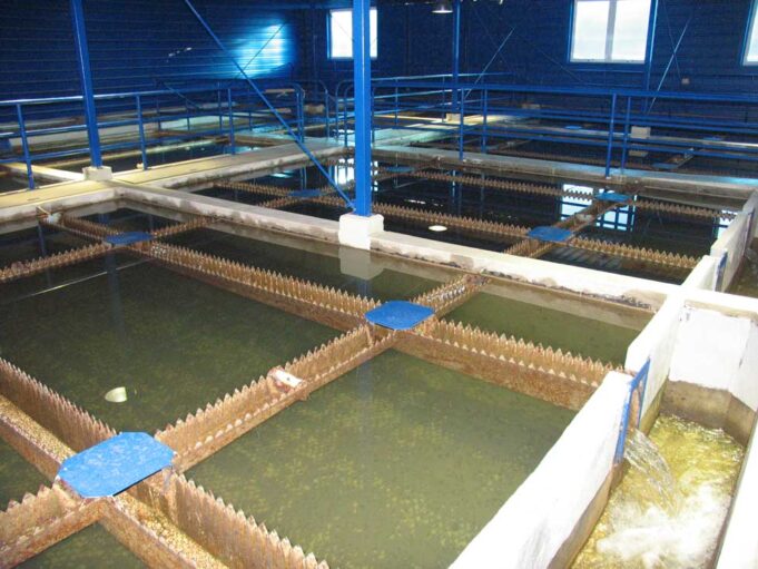 RADOVI, KVAROVI NA VODOVODNOJ MREŽI I PREKIDI U VODOSNABDEVANjU JKP Naissus