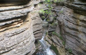 22.avgusta ide se u Slavinjsko grlo i Ponor, na Staroj planini