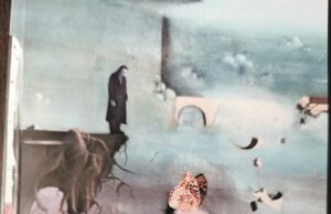 Večeras u Oficirskom domu promocija knjige ,,Istina je laž,,