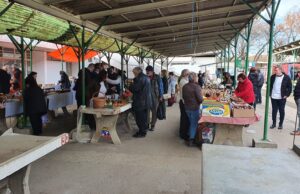 Održana tradicionalna manifestacija “Naj zimnica”: Najbitnije je druženje