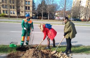 Na Bulevaru Medijana novih 230 sadnica