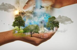 ŠTO DA NE KAŽEM – BUĐENJE SVESTI O EKOLOGIJI