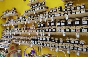 Beograđani posao u prestonici zamenili „Jastrebačkom pričom“