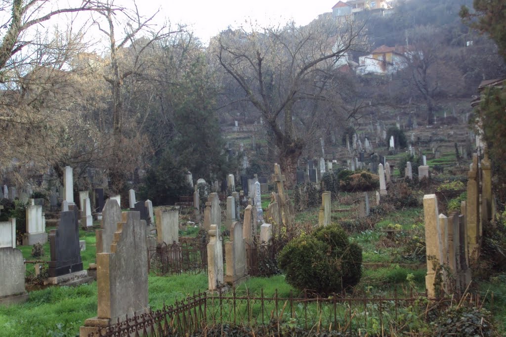Staro groblje 