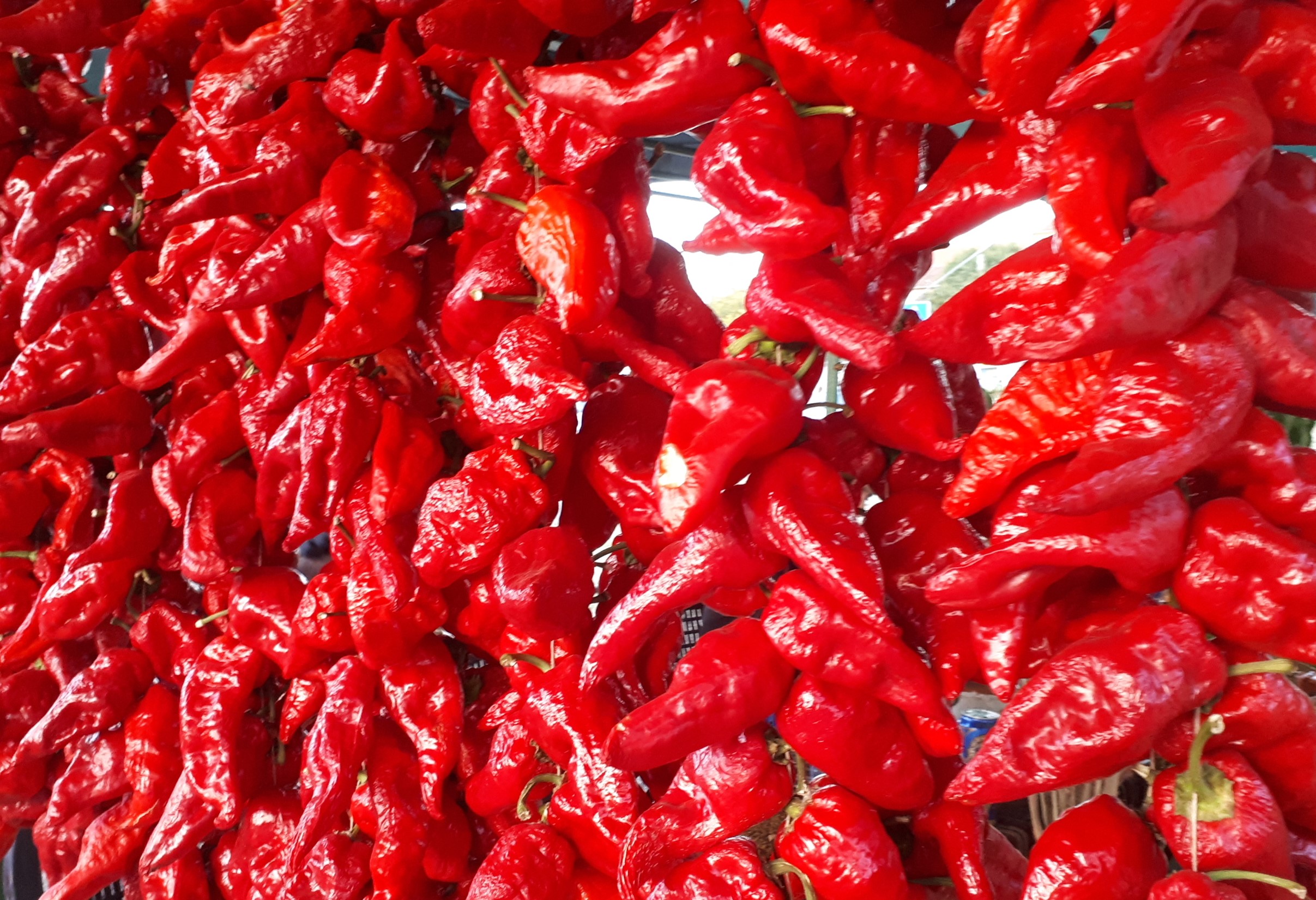 Paprika Vrtka