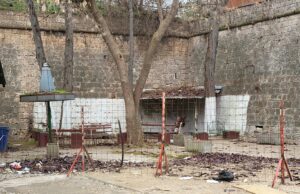 Cvetna pijaca preseljena