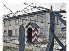 Izložba „U senci zanemarenih” u Nišu otkriva istoriju logora Štamlager u Mariboru Logor na Crvenom Krstu