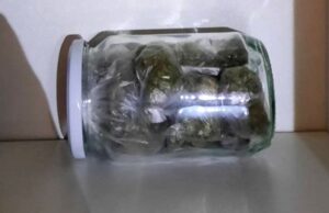 Kod dvadesettrogodišnjeg Nišlije pronađeno 90 grama marihuane