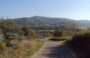 Gradonačelnica govorila o problemima sa vodosnabdevanjem meštana Donjeg Vlasa