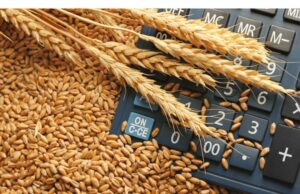 ŠTO DA NE KAŽEM – STRAH OD SUTRA