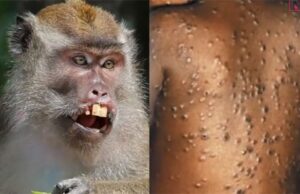 ŠTO DA NE KAŽEM – MAJMUNISANJE