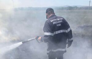 Dobrovoljno vatrogasno društvo „Nais“ već deluje: Ugašena trava u industrijskoj zoni grada