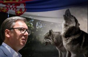 Dragana Sotirovski podrška predsedniče!