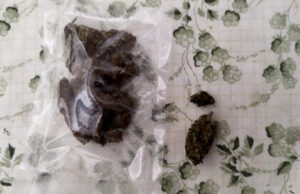 MUP NIŠ- U automobilu kod N.J(1985) pronađeno 530 grama kokaina, marihuana i vagica za merenje