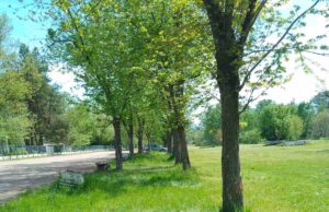 Sva izletišta očišćena posle proslave 1. maja