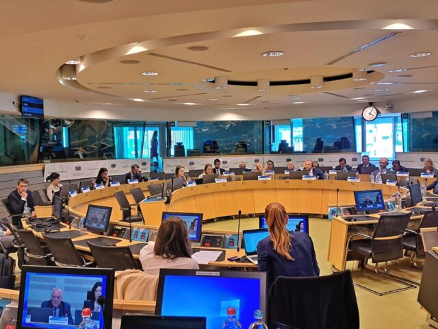 Zajednički konsultativniodbora Komiteta regiona Republike Srbije i Evropske unije foto fb Dragana Sotirovski