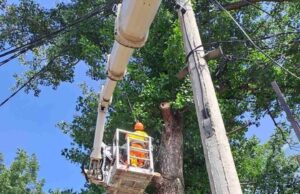 Krenulo uređenje romskog naselja na Stočnom trgu