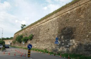 Iz zidina Tvrđave izrasta drvo, a gradonačelnica poručuje da će se to rešiti kada TON preuzme brigu o njoj