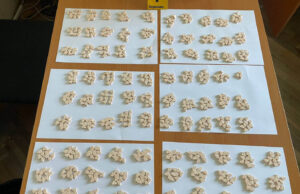 PU Niš: U golfu pronađene 993 tablete MDMA