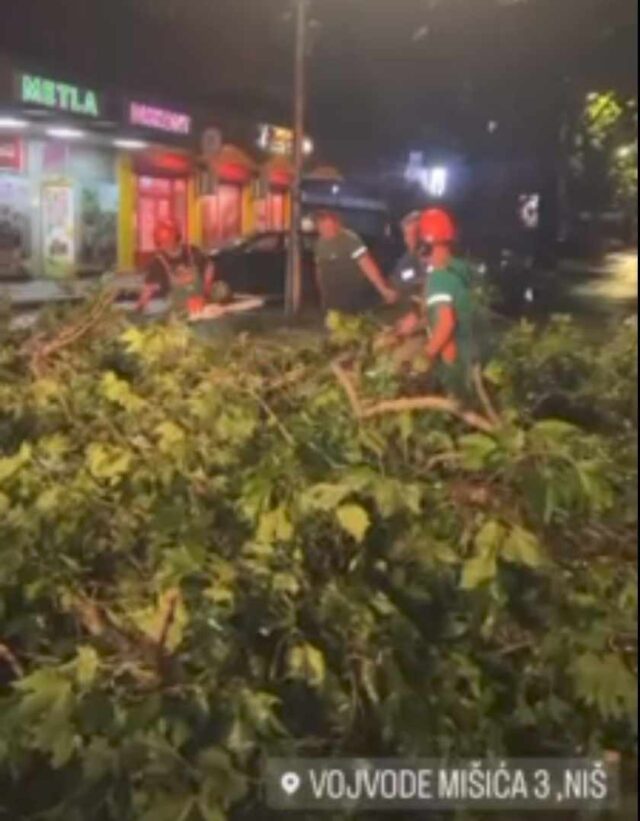 Na terenu Vojvode Mišića foto GP018