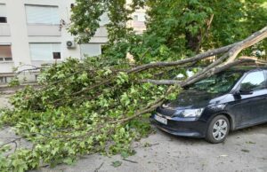 Nevreme u Nišu lomilo stabla oštećeni auomobili bez težih povreda građana