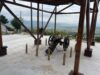 Kod Supovca 1876. počela borba za oslobođenje Niša i juga Srbije Top