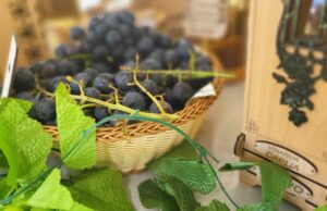 Niški SPS predstavio program: Da seljak bude farmer i da otkupne cene budu garantovane