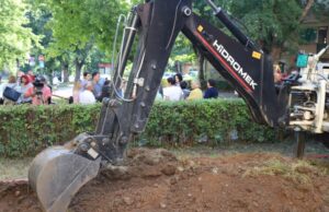 Prva kišna bašta u Nišu kao početak uređenja međublokovskog zelenila