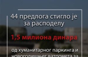 Od „Humanitarnog parkinga“ i vatrometa sakupljeno 1,5 miliona dinara za obolelu decu