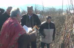 Orezivanjem vinove loze u Gornjoj Vrežini obeležen Sveti Trifun, zaštitnik vinogradara