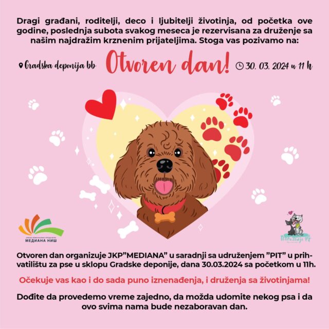 Nova prilika da udomite krznenog prijatelja iz prihvatilišta