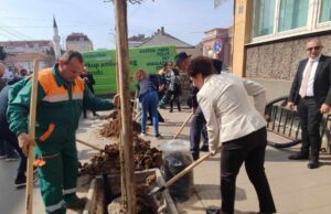 Grad Niš poziva kompanije da doniraju sadnice za zeleniji grad Posađeno novo drveće u ulici Generala Milojka Lešjanina