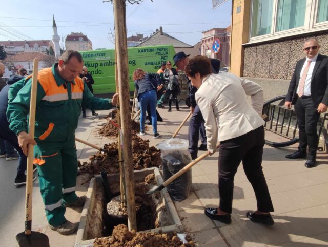 Posađeno novo drveće u ulici Generala Milojka Lešjanina